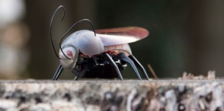 Get Even, Troll Sis With This iPhone Controlled Robotic Bug