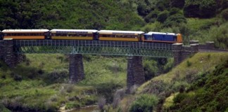 13 Year Old Boy Pulls Emergency Brake On Train After Dropping iPhone