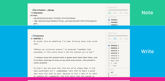 Write Like A Champ With Writer Pro, Writer’s Successor