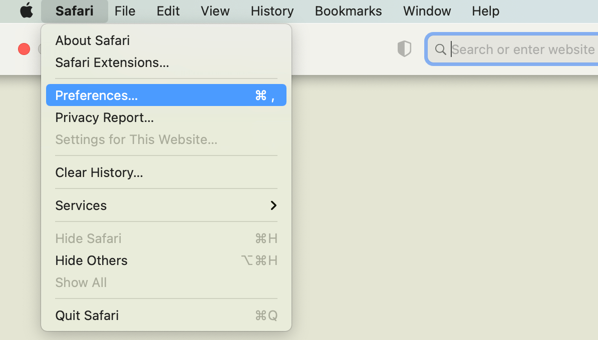 open preferences in safari