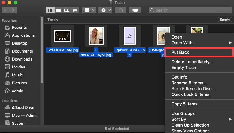 Put Back Files from Trash