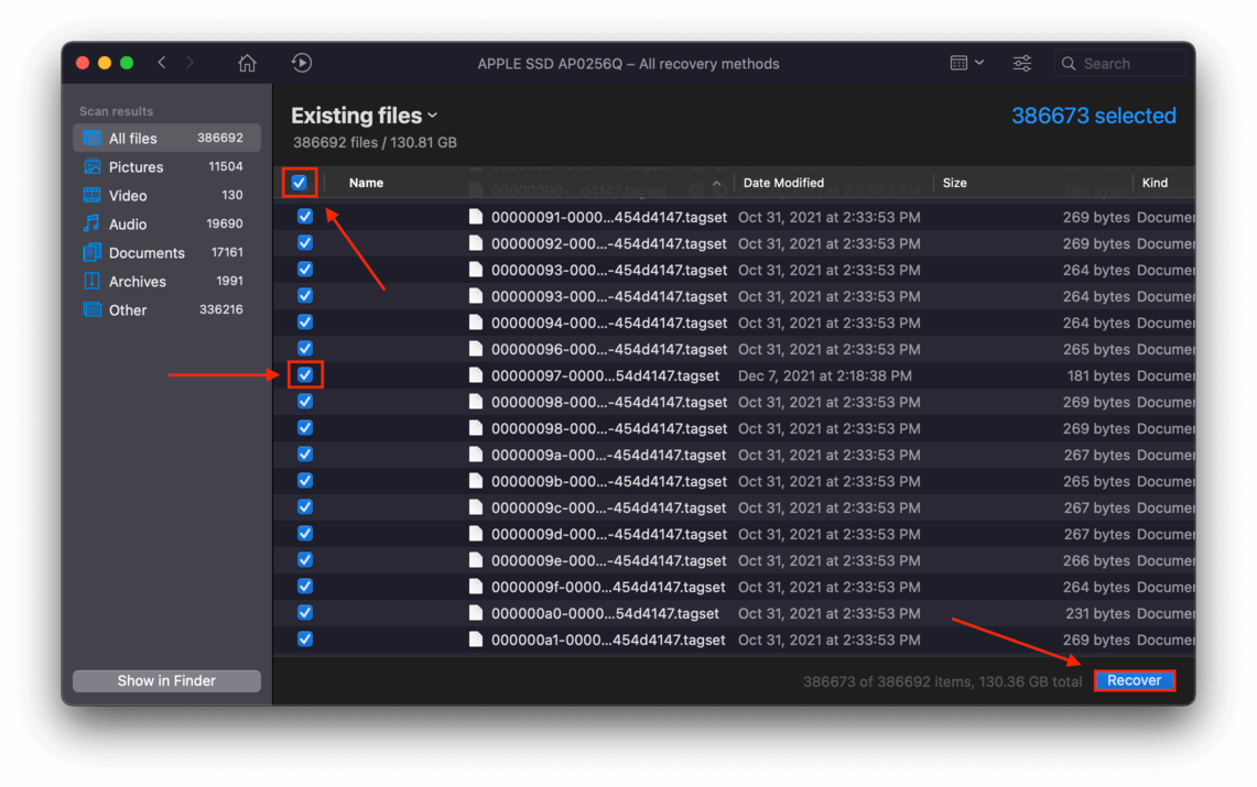 Disk Drill scan results window with an outline highlighting the an individual checkbox, as well as the select all checkbox