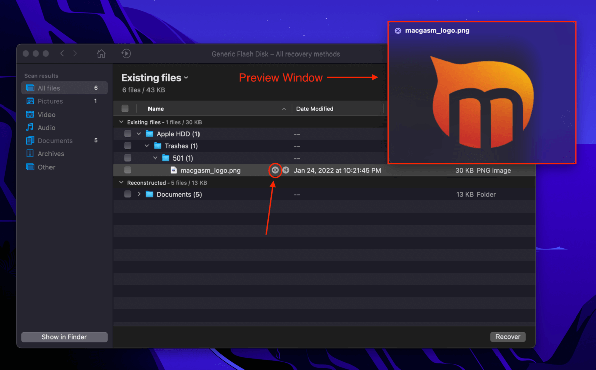 Disk drill window showing the preview window