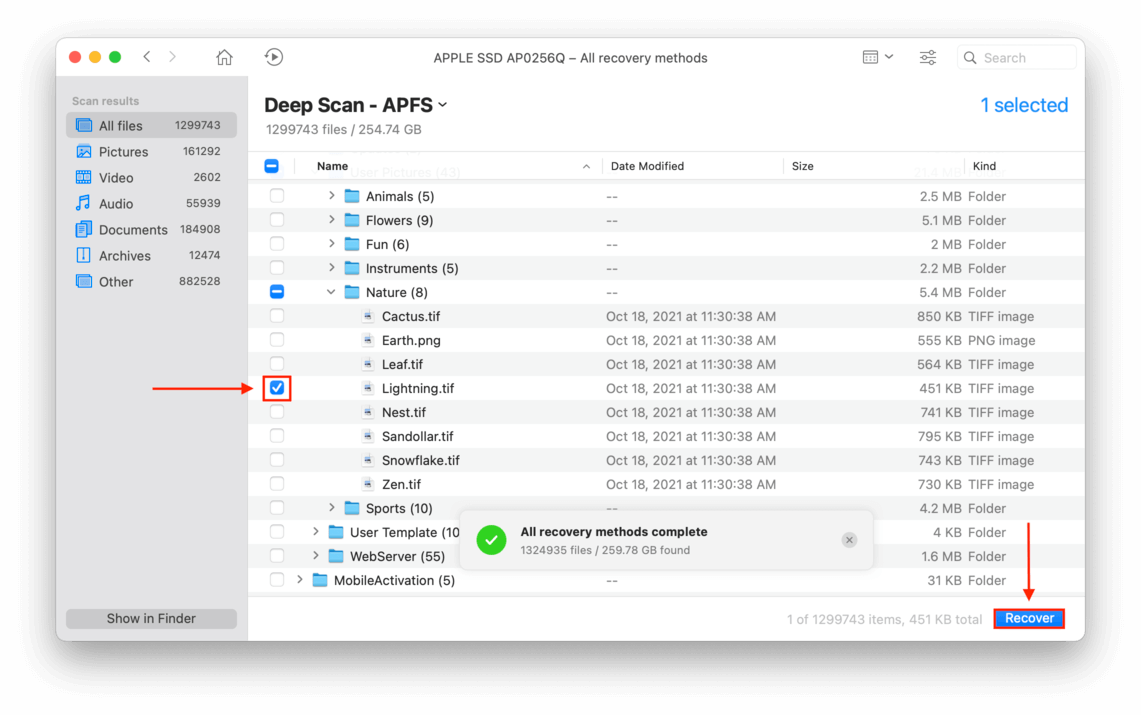 All files window showing a pointer towards a ticked box beside a file name and another towards the Recover button