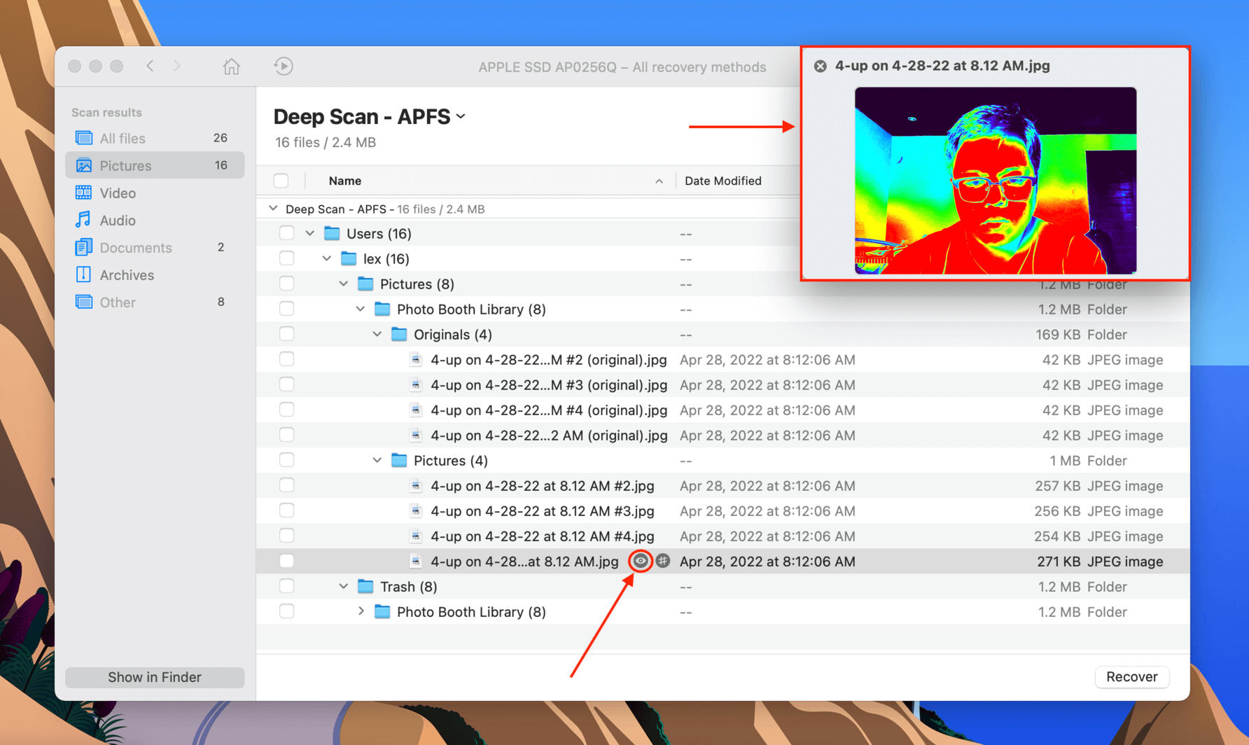 Disk Drill preview of a Photo Booth image file