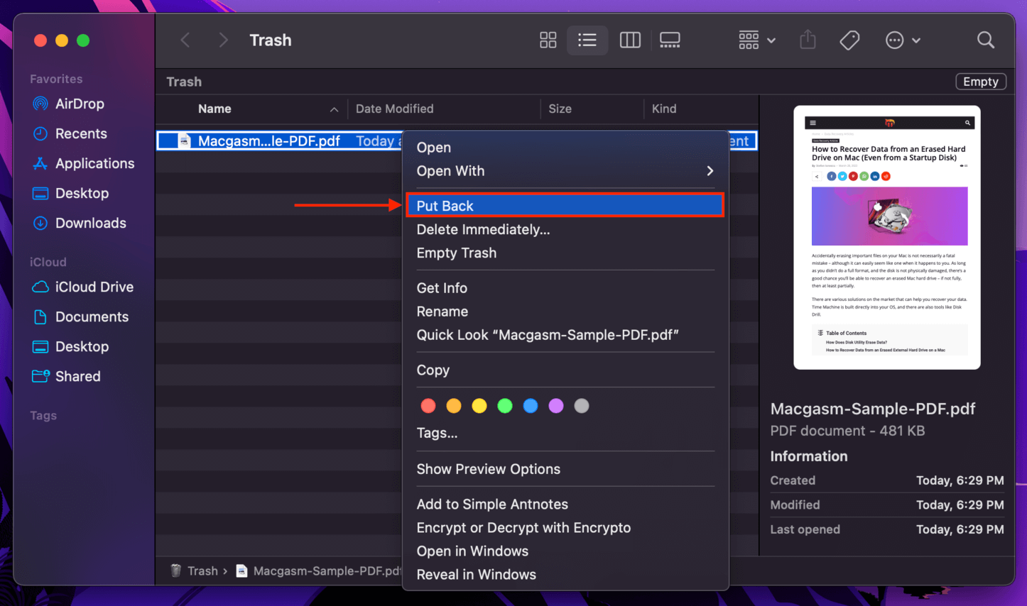 Put Back command in the Mac Trash folder