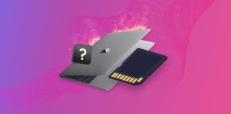 SD Card is Not Showing Up on Mac: How to Fix It