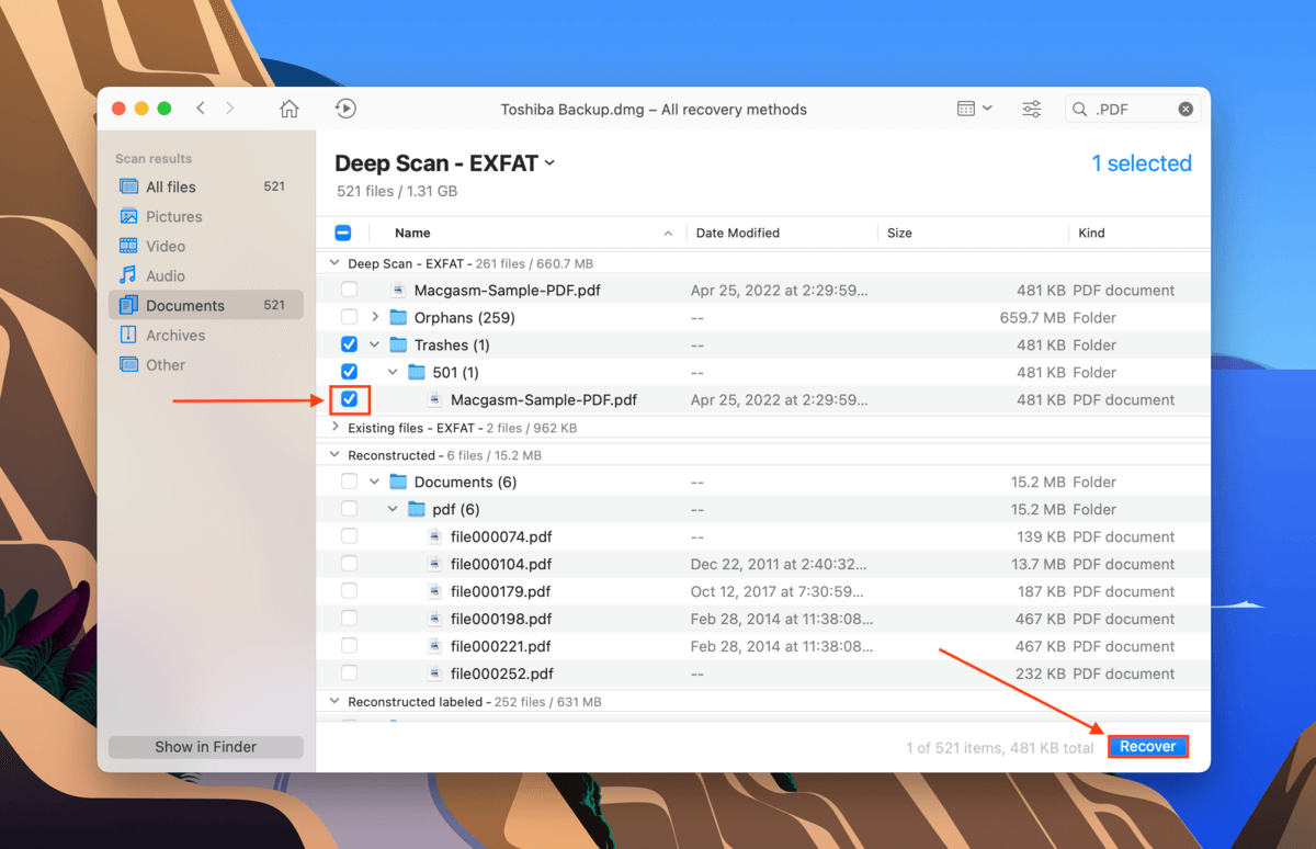 Disk Drill file selection