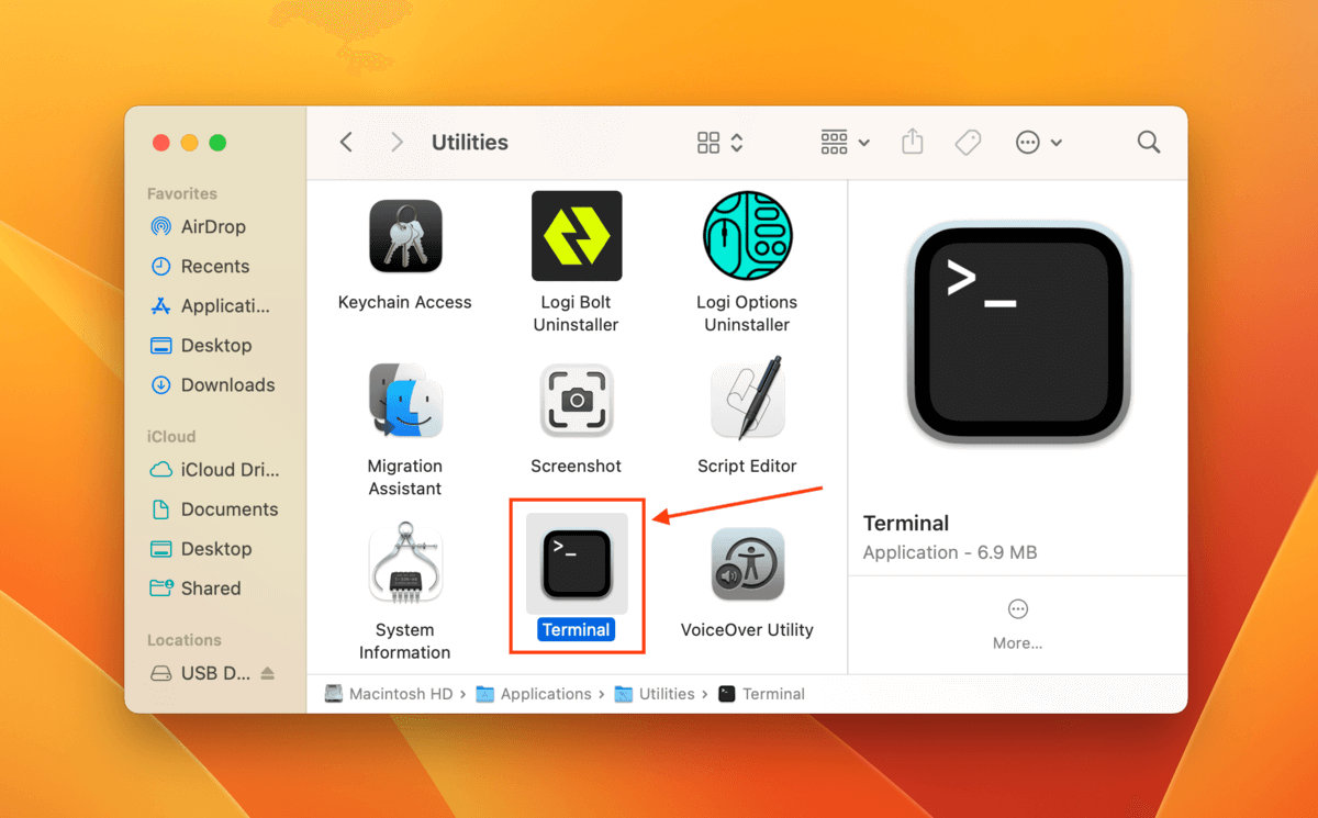 Terminal app in the Finder Applications folder