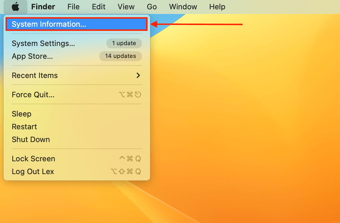 System Information option in Apple Menu