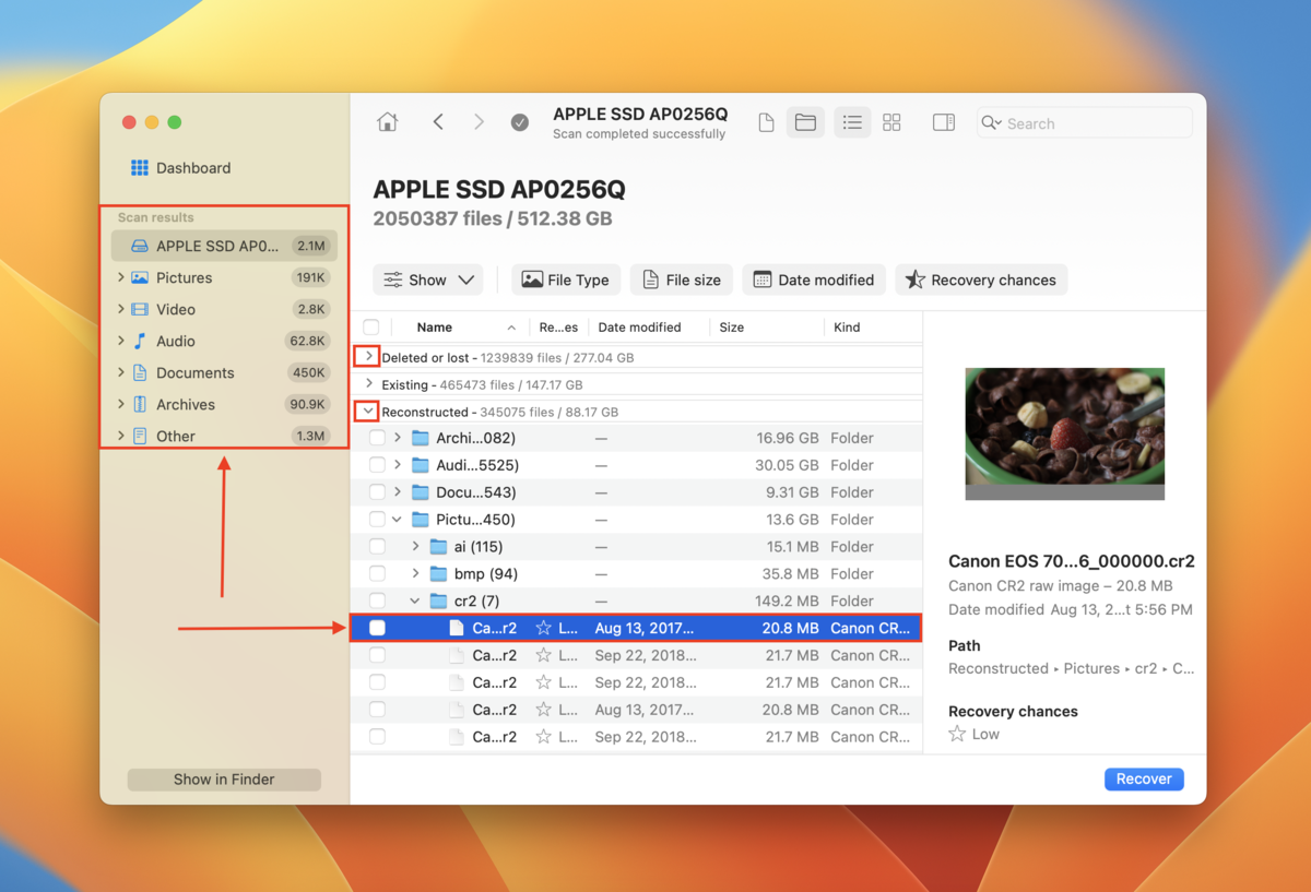 Preview window in Disk Drill