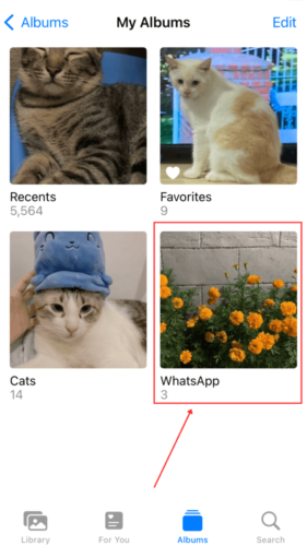 WhatsApp Album in Photos