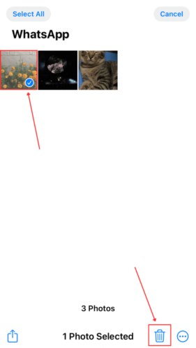 Photo selection for deletion in WhatsApp Album