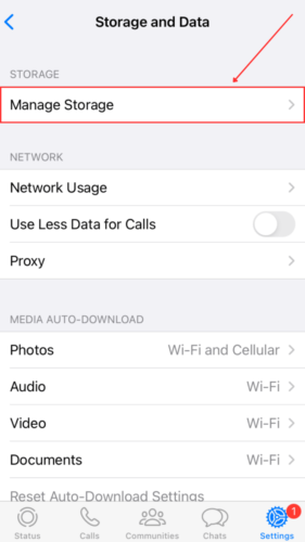 Manage Storage in WhatsApp Settings