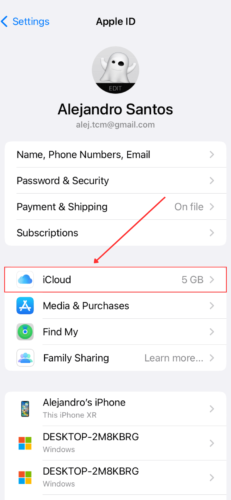 iCloud in apple ID Settings