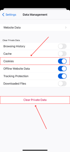 Clear Firefox cookies on iPhone