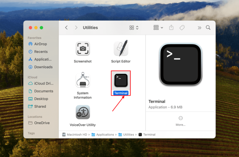 mail settings greyed out on mac