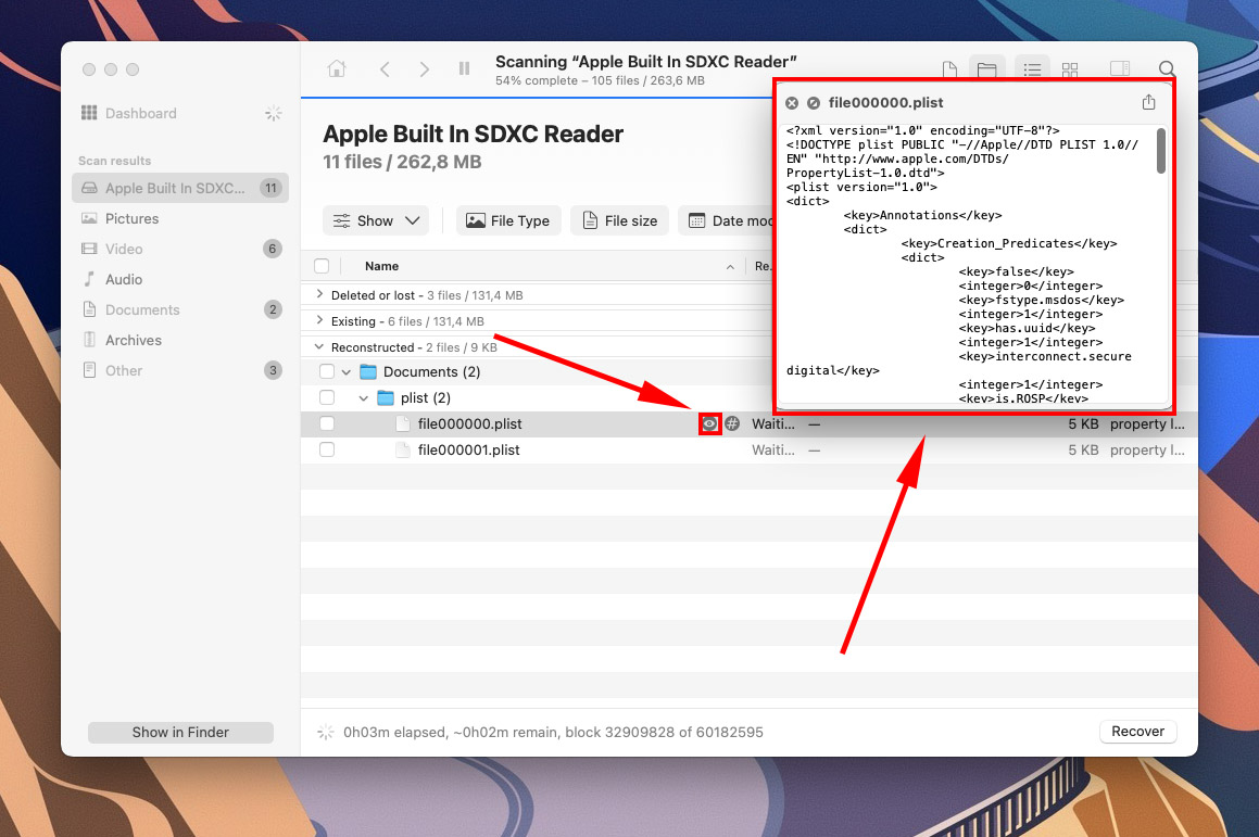 Disk Drill plist file preview demonstration