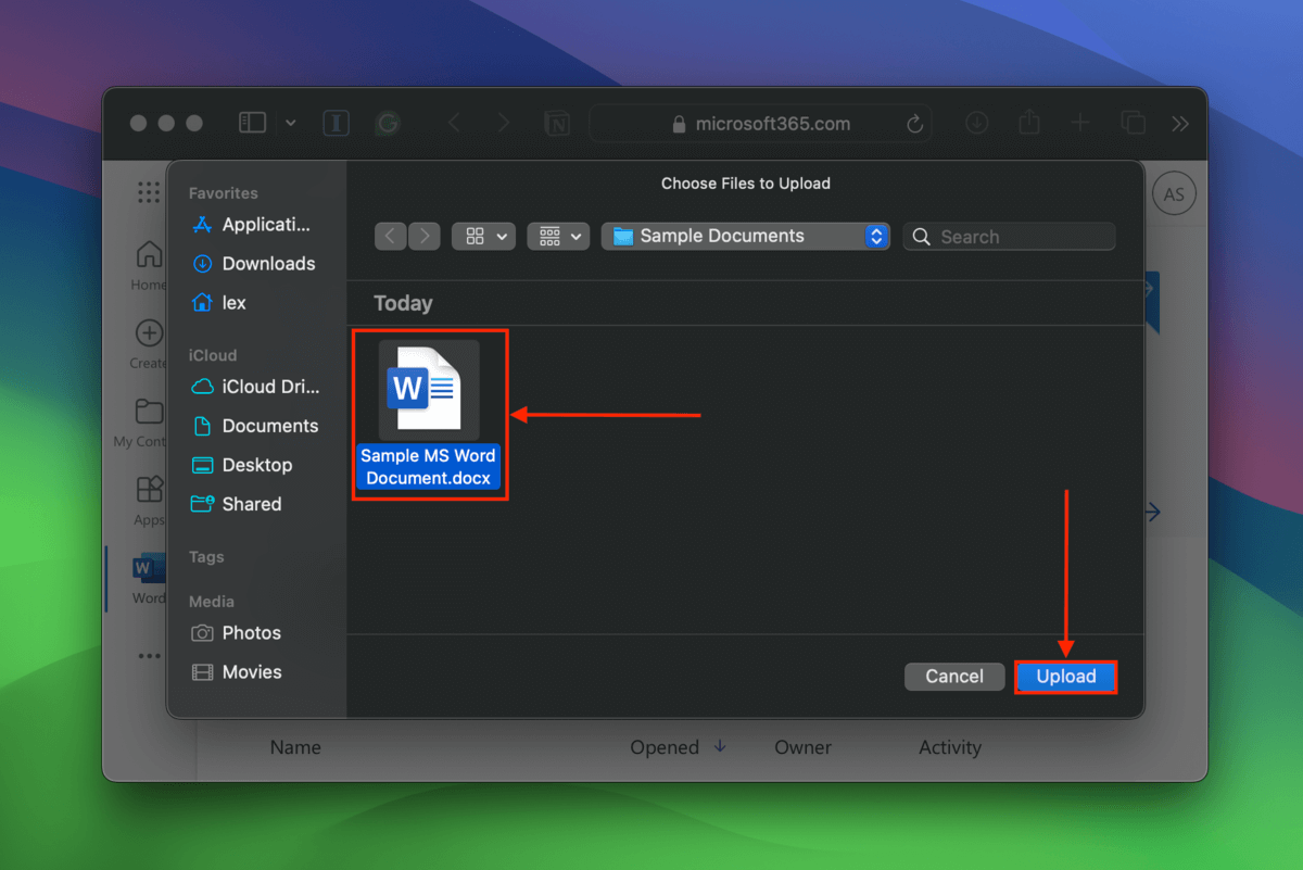 File selection dialogue of Microsoft Web upload