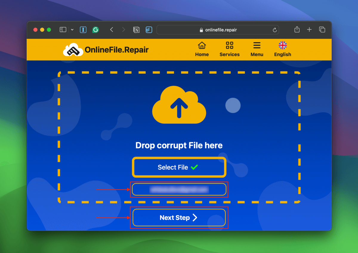 Email field and Next button in the onlinefile.repair webpage