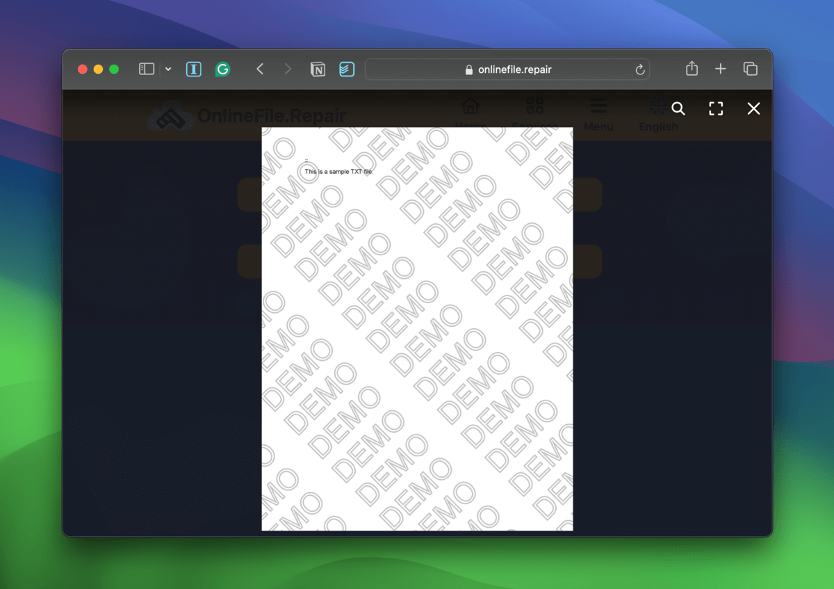 File preview in the onlinefile.repair webpage