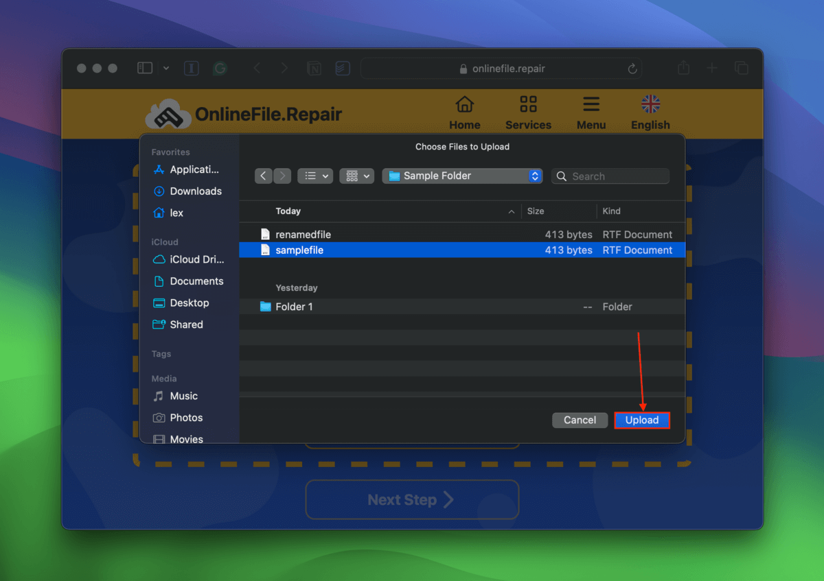 File selection window for the onlinefile.repair tool