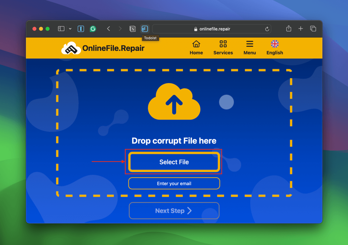Select File button in the onlinefile.repair webpage