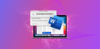 What to Do When Microsoft Word Keeps Crashing on Mac? Try This