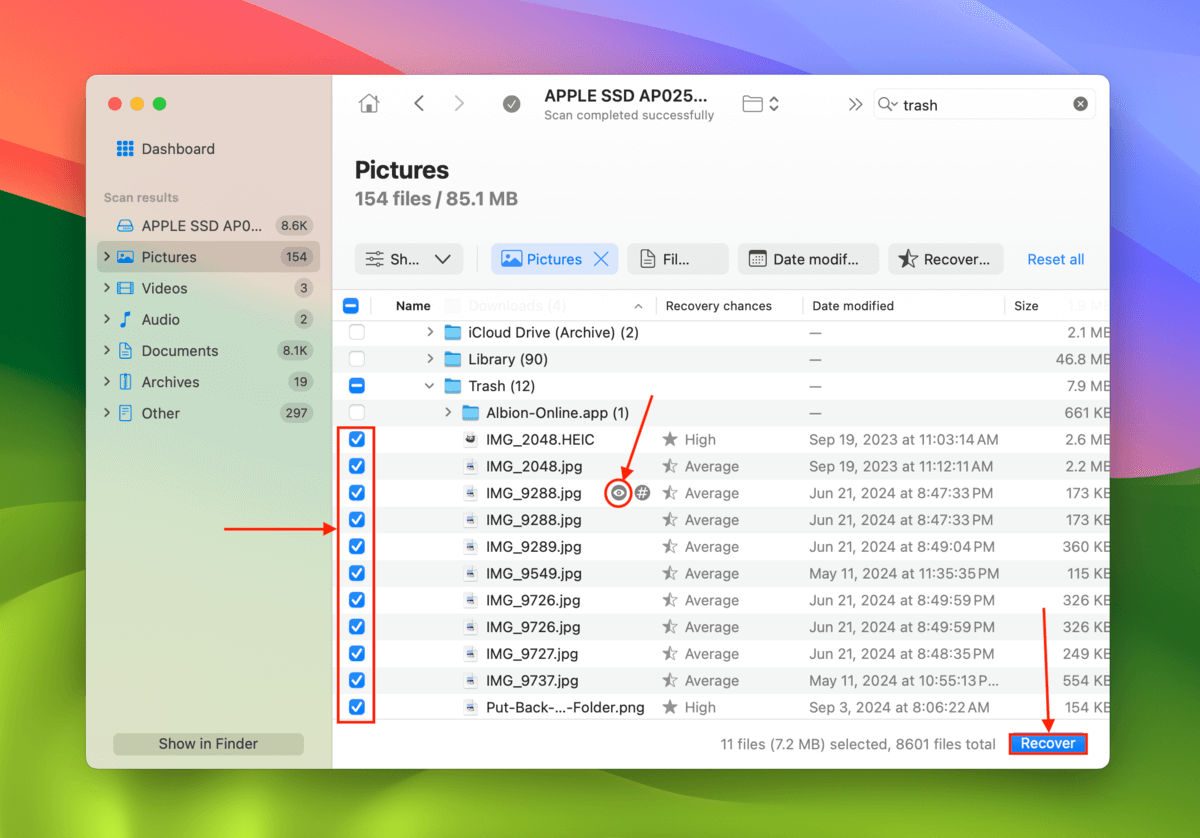 Disk Drill file browsing tool