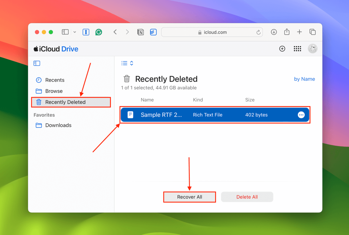 Recently Deleted folder in iCloud Drive web