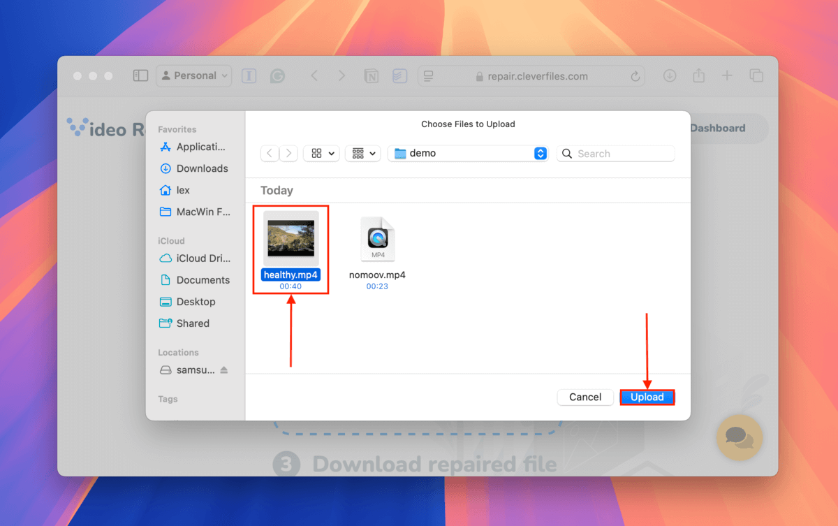 Clever Online Video Repair file sample selection dialogue window