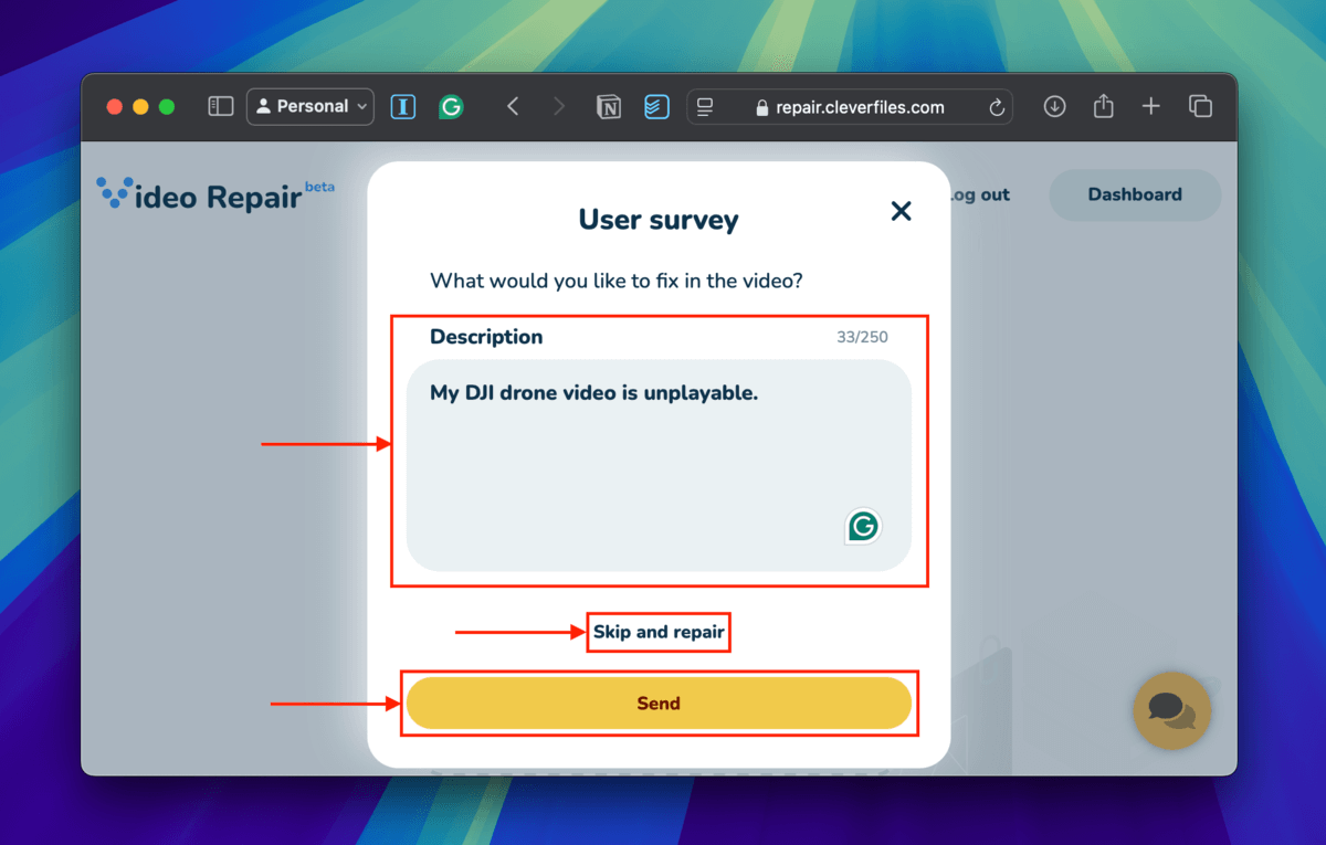 Survey dialogue menu in Clever Online Video Repair