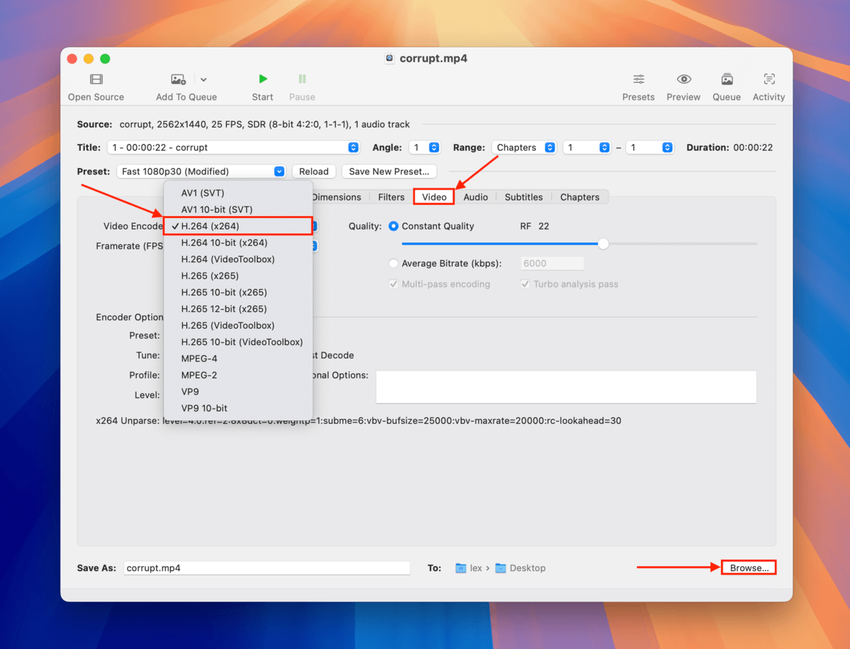 Handbrake encoder settings in the Video menu