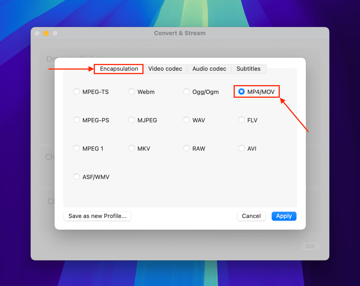 MP4/MOV format in the container selection menu in VLC Media Player's Encapsulation window