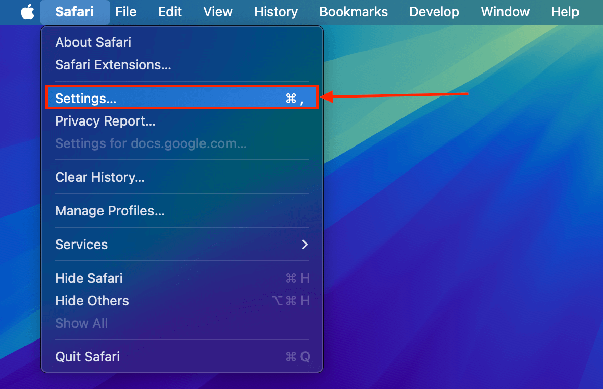 Settings button in Safari's main menu