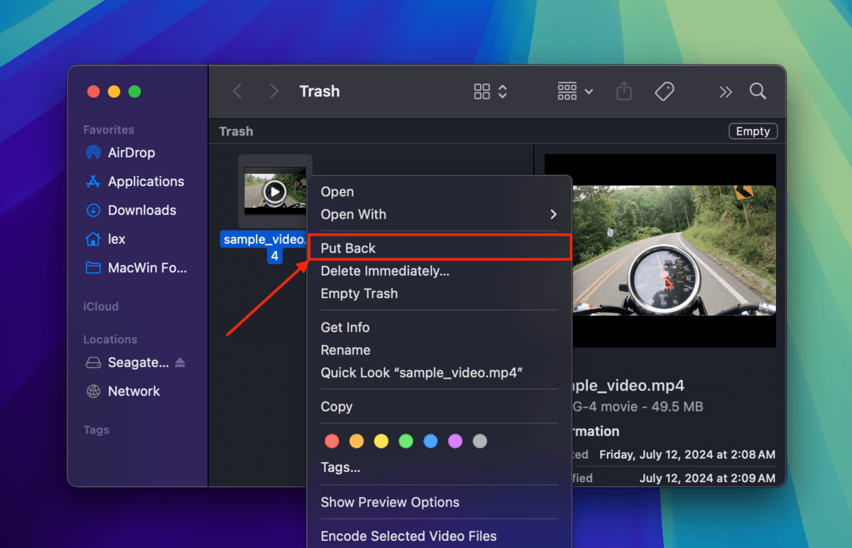 Put Back option in the Mac Trash folder's right-click menu for an external hard drive file