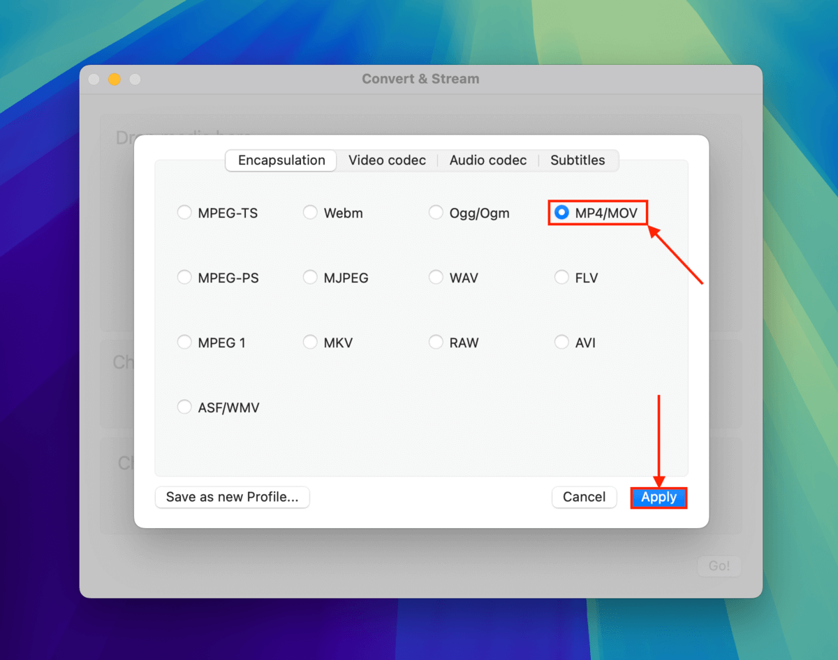 MP4/MOV container option in VLC Media Player's Encapsulation menu