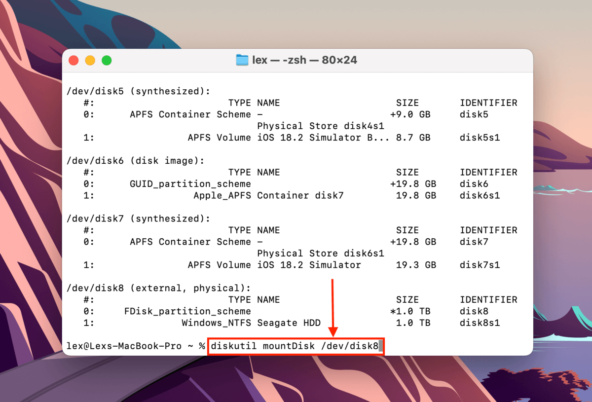 Using the mountDisk command in Terminal for HDD