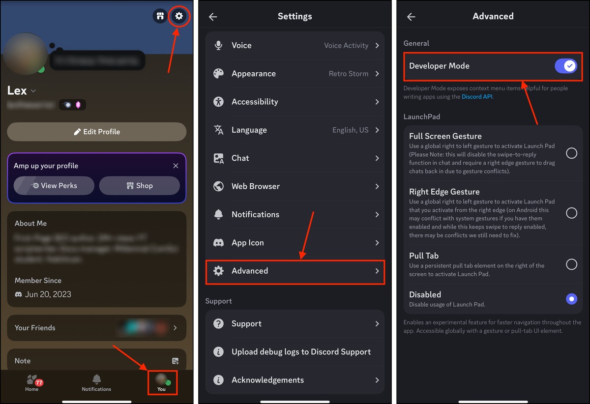 Developer Mode setting in the Discord iPhone app