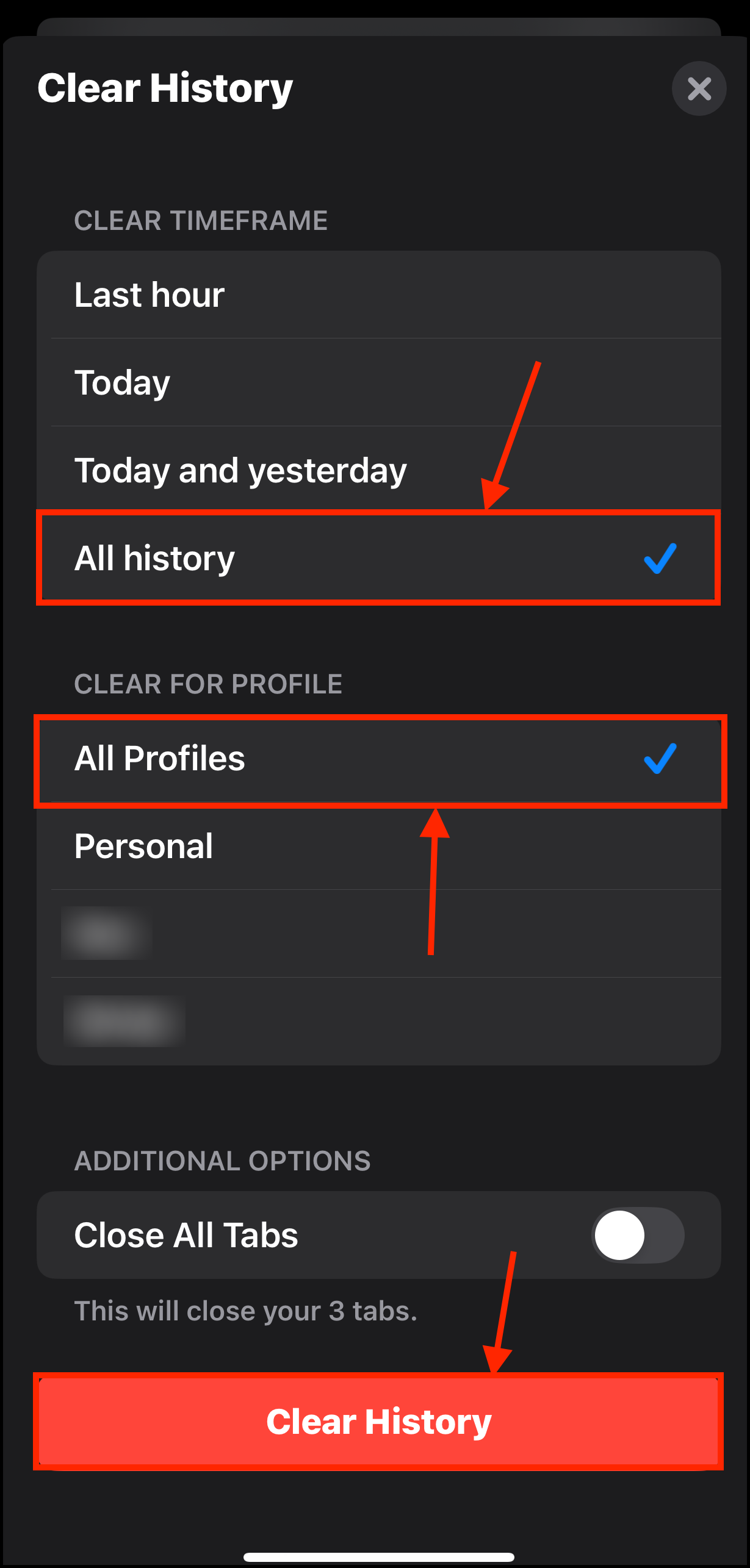 Website History menu for Safari in the Settings app on iPhone