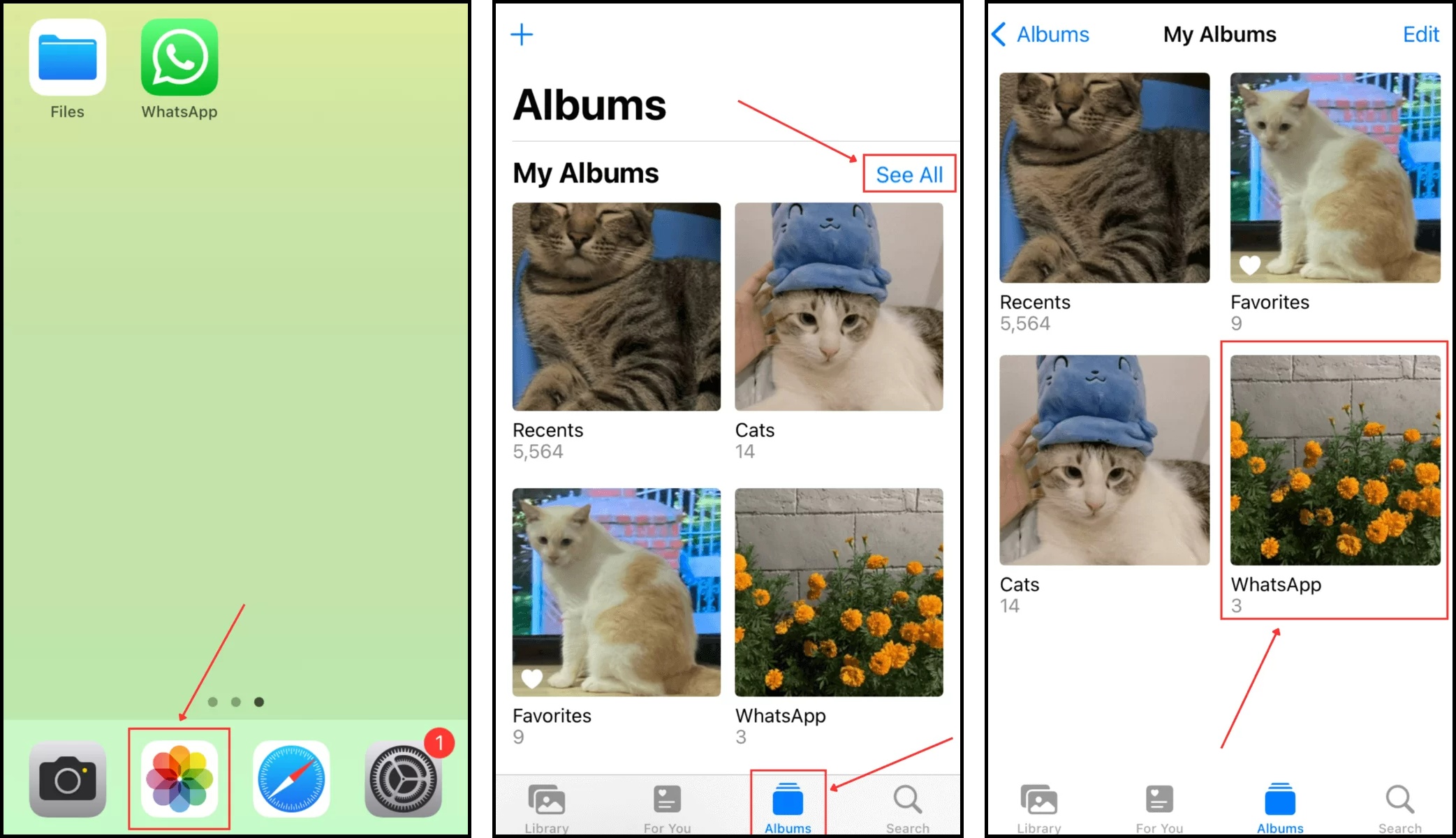 opening whatsapp album in photos app