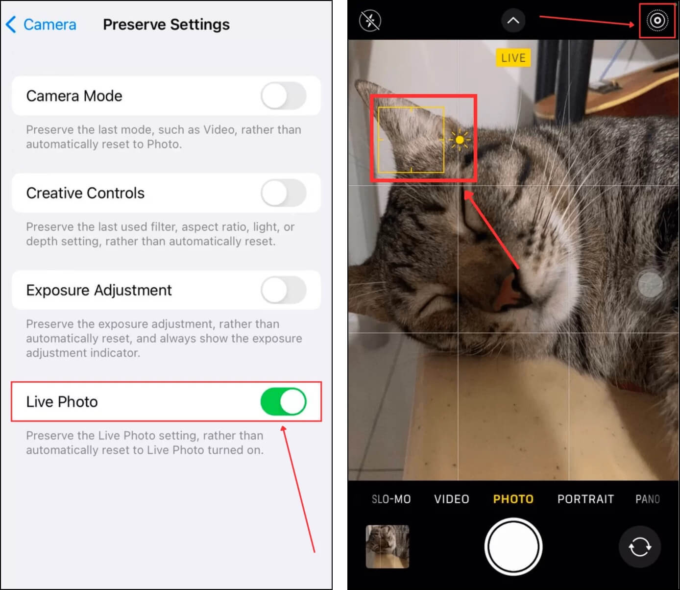 Setting up the iPhone camera to take clearer photos