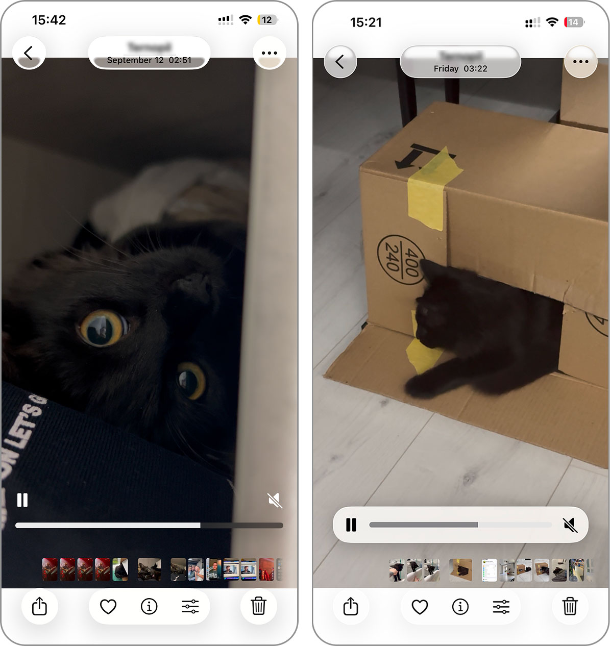 new video scrubber in photos app