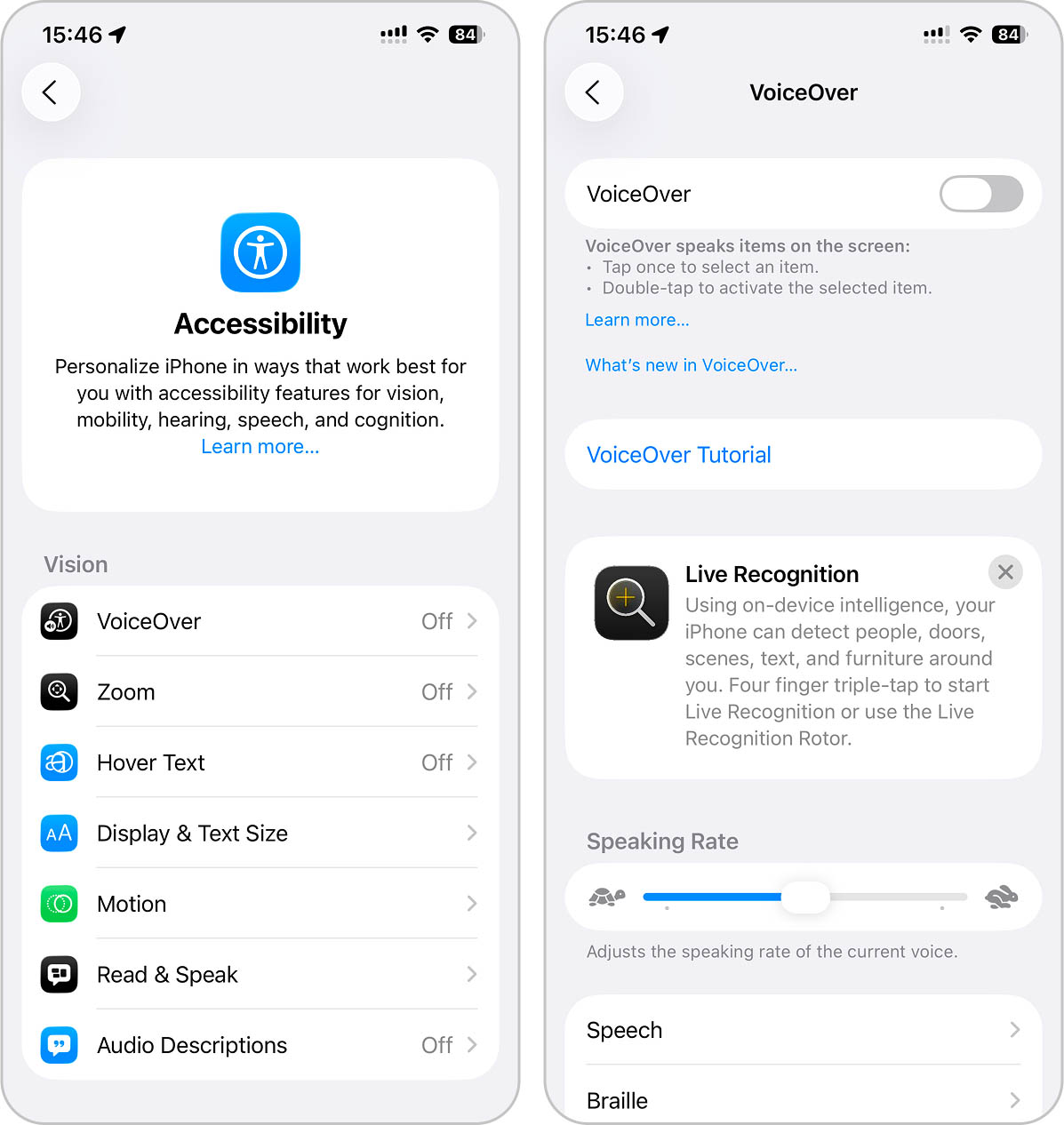 voiceover option in settings