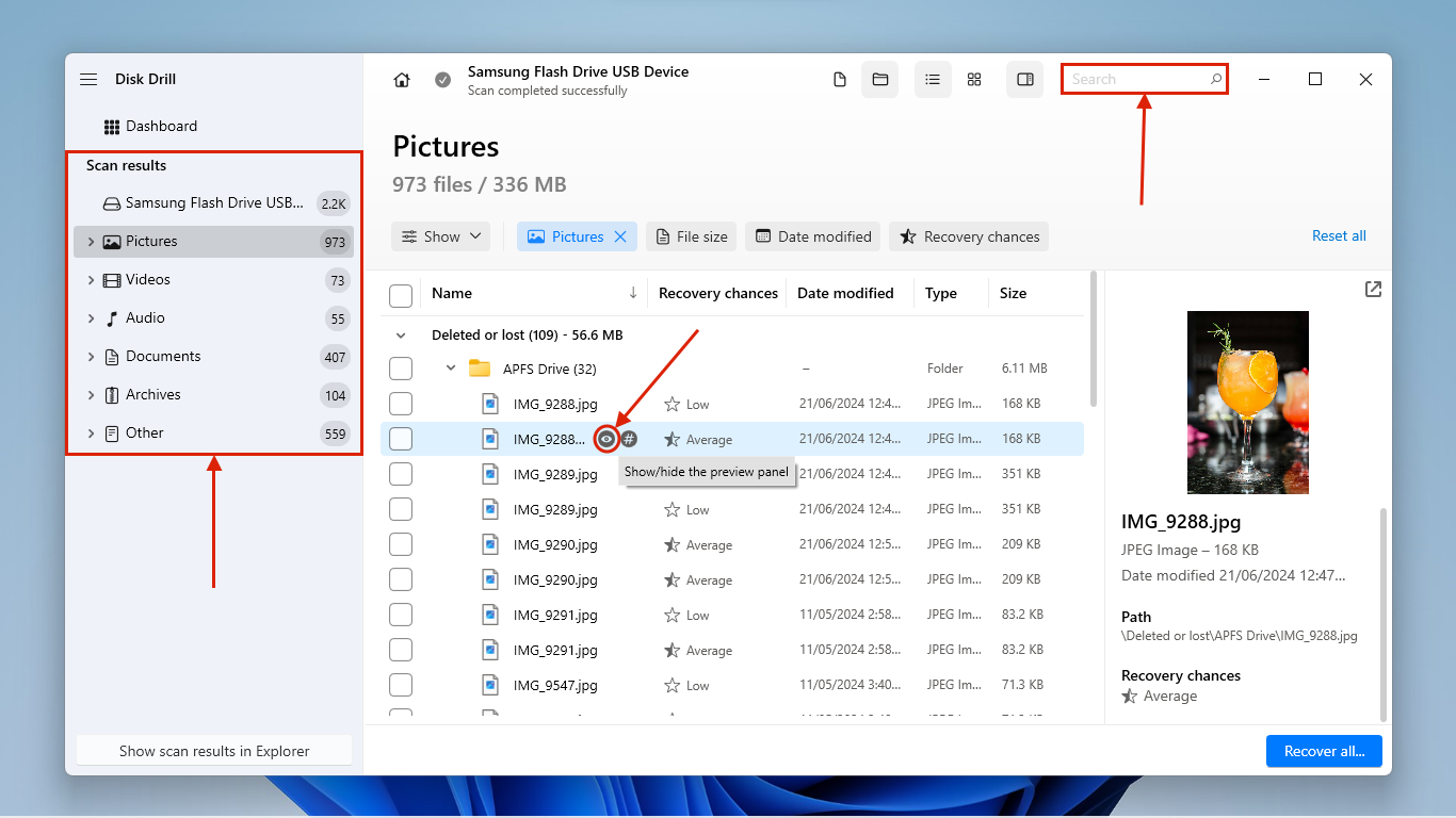 Previewing and filtering Disk Drill's found files