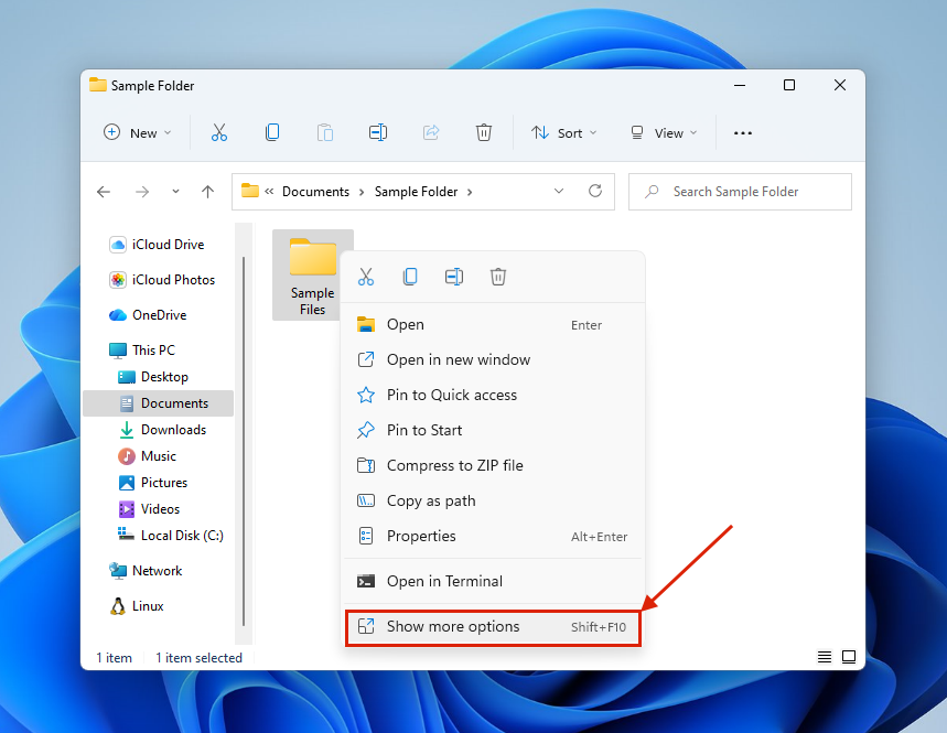 Show more options in File Explorer's context menu