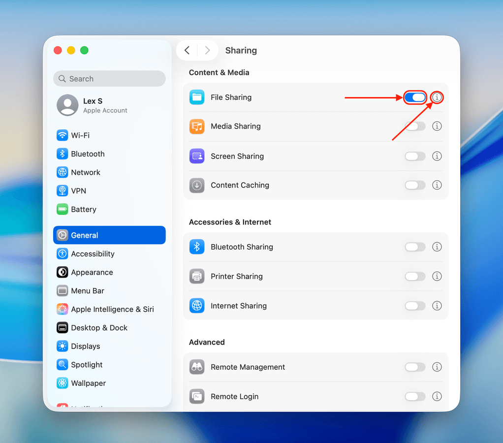 File Sharing option in System Settings