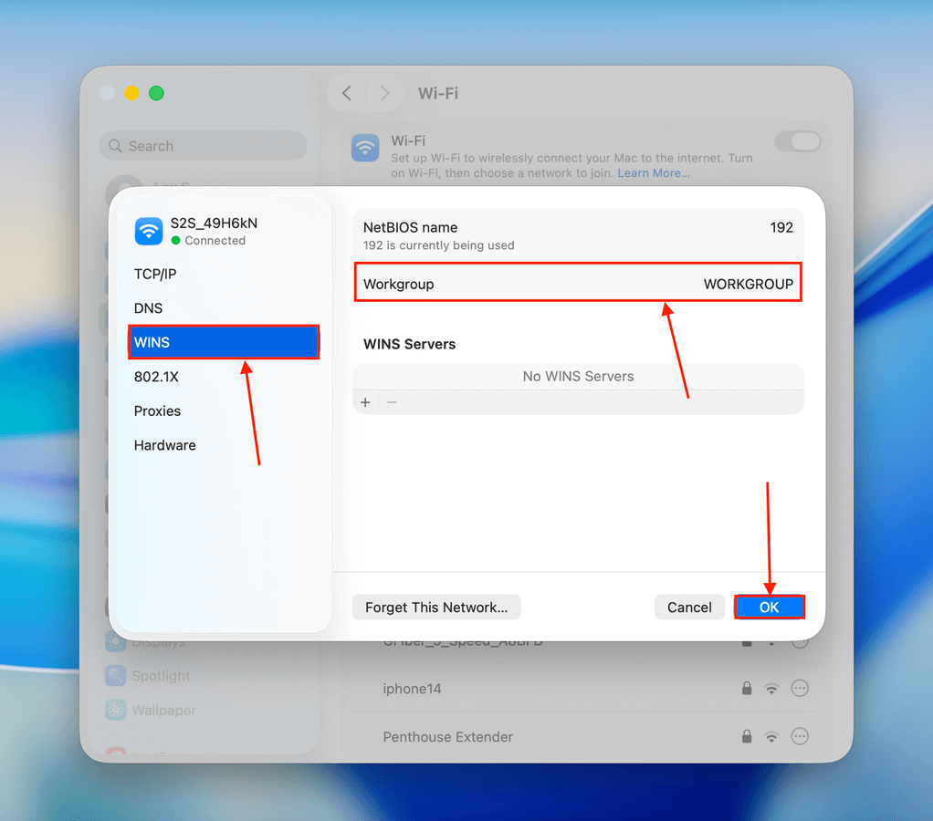 Workgroup menu in Mac System Settings