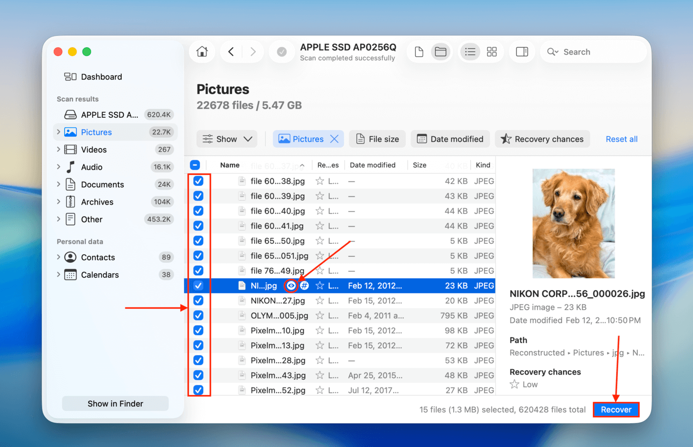 Previewing and selecting files for recovery in Disk Drill