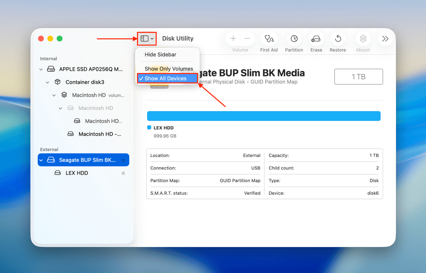 Enabling the "Show All Devices" setting in Disk Utility